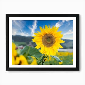 Sunflower In The Field Art Print