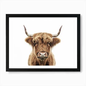 Highland Cow 12 Art Print