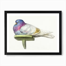 Pigeon Sitting On A Shelf, Jean Bernard Art Print