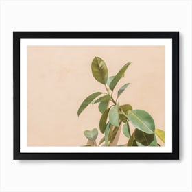 Rubber Plant Art Print