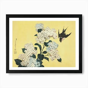 White Hydrangeas, Japanese Floral Vintage Art Art Print