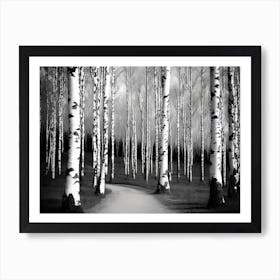Birch Forest 123 Art Print