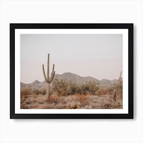 Saguaro Sunset Views Art Print