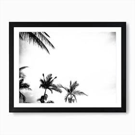 Palm Shade 4 Art Print