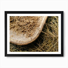 Peeling Rice, Philippines Art Print