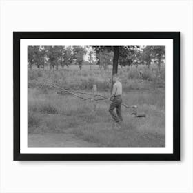 Member Of Migrant Family Gathering Firewood For Cooking Near Henrietta I E Henryetta, Oklahoma By Russell Lee Póster