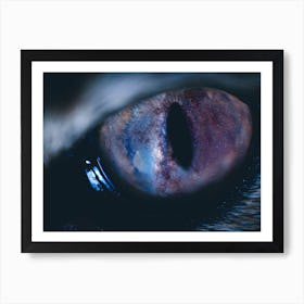 Cat Eyed Galaxy Art Print