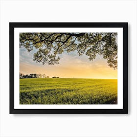 Sunset Field Art Print