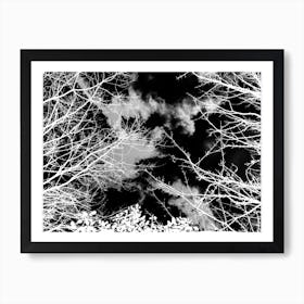 Monochrome Clouds And Trees Art Print