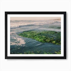 Seagrass Beach Of Southern California In Sunset Art Print