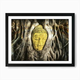 Buddha In Roots Art Print