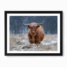 Snowy Highland Cow Art Print