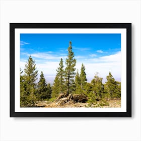 Pine Mountain Art Print