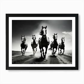 Horses galloping in a field. 1 Art Print