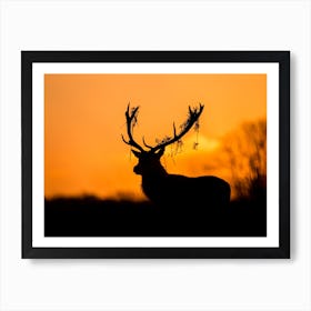 Red Deer Stag Silhouette Art Print