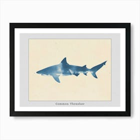 Common Thresher Shark Silhouette 7 Poster Art Print