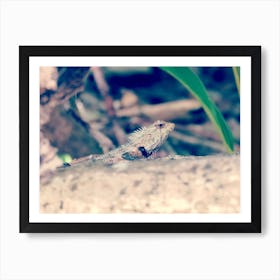 Small Lizard in the Forest Maldives  Art Print