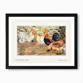 Vintage Chickens Poster Art Print