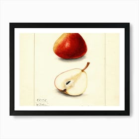 Two Pears 4 Art Print