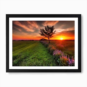 Sunset In The Field 7 Art Print