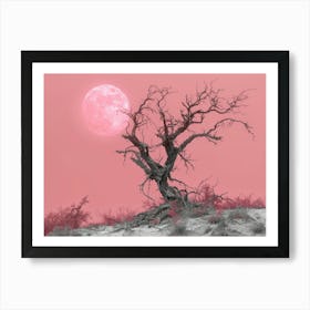 Lone Tree 9 Art Print