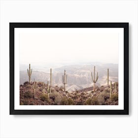 Cactus Desert Art Print