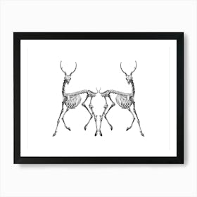 Forgotten deers Art Print