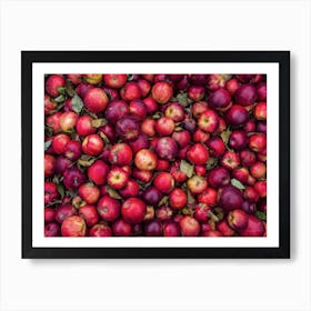 Pile Of Apples Art Print