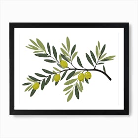 Olive Branch Art Print