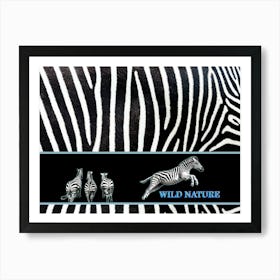 WILD NATURE - COOL ZEBRA design collection Art Print