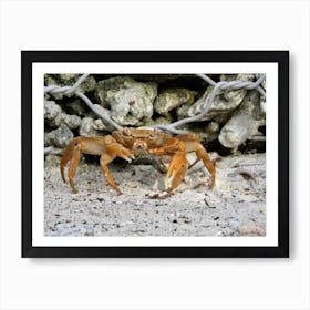 Crab In The Sand rocks maldives Art Print