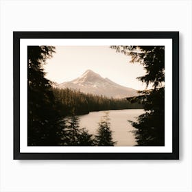 Mt. Hood Summer Forest Dreams Art Print