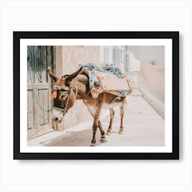 Donkey In Greece Art Print