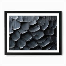 Black Feathers 1 Art Print