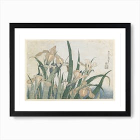 Iris Flowers And Grasshopper Art Print