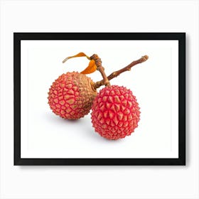 Lychee Fruit 19 Art Print