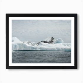 Glacierflat 4 Art Print