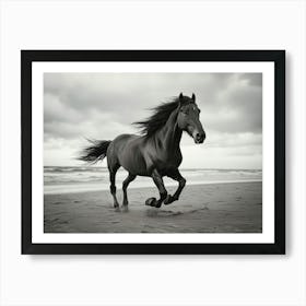 Black Horse Galloping On The Beach Art Print