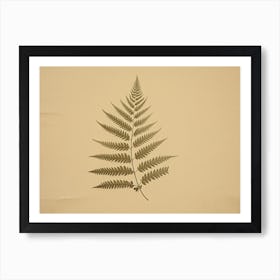 Vintage Fern Art Print