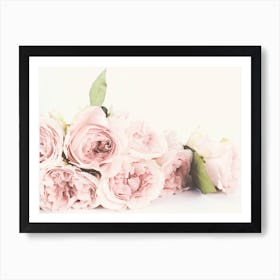 Pink Roses Art Print