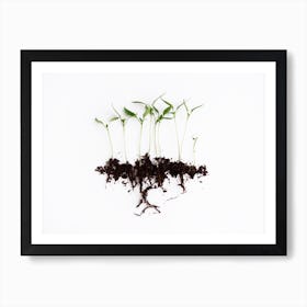 Pepper Sprouts Art Print