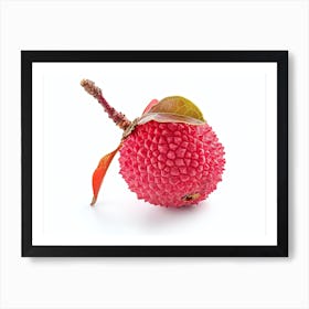 Lychee Fruit Isolated On White Background Art Print