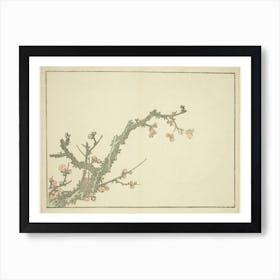 Hokusai S Blooming Plum Tree, Katsushika Hokusai Art Print