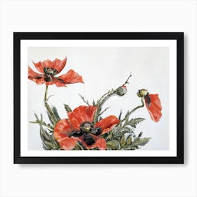 Red Poppies, Charles Demuth Art Print