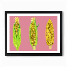 Sweetcorn Art Print