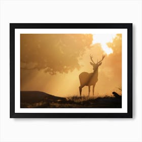 Deer Silhouette In The Woods Art Print