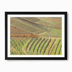 Terraced Vineyards of Langhe. Rows of neatly planted grapevines line the terraced hillsides of Langhe, Italy, showcasing the region's dedication to winemaking. The structured pattern of the vineyard rows, supported by wooden stakes, emphasizes the natural contours of the landscape, creating a harmonious blend of agriculture and nature. 1 Art Print