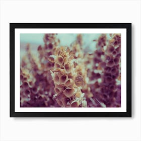 Close Up Of A Strange Purple Plant Art Print