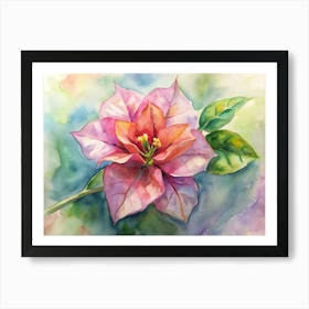 Poinsettia 1 Art Print