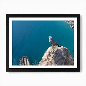 Seagull on the cliffs and blue sea water Art Print